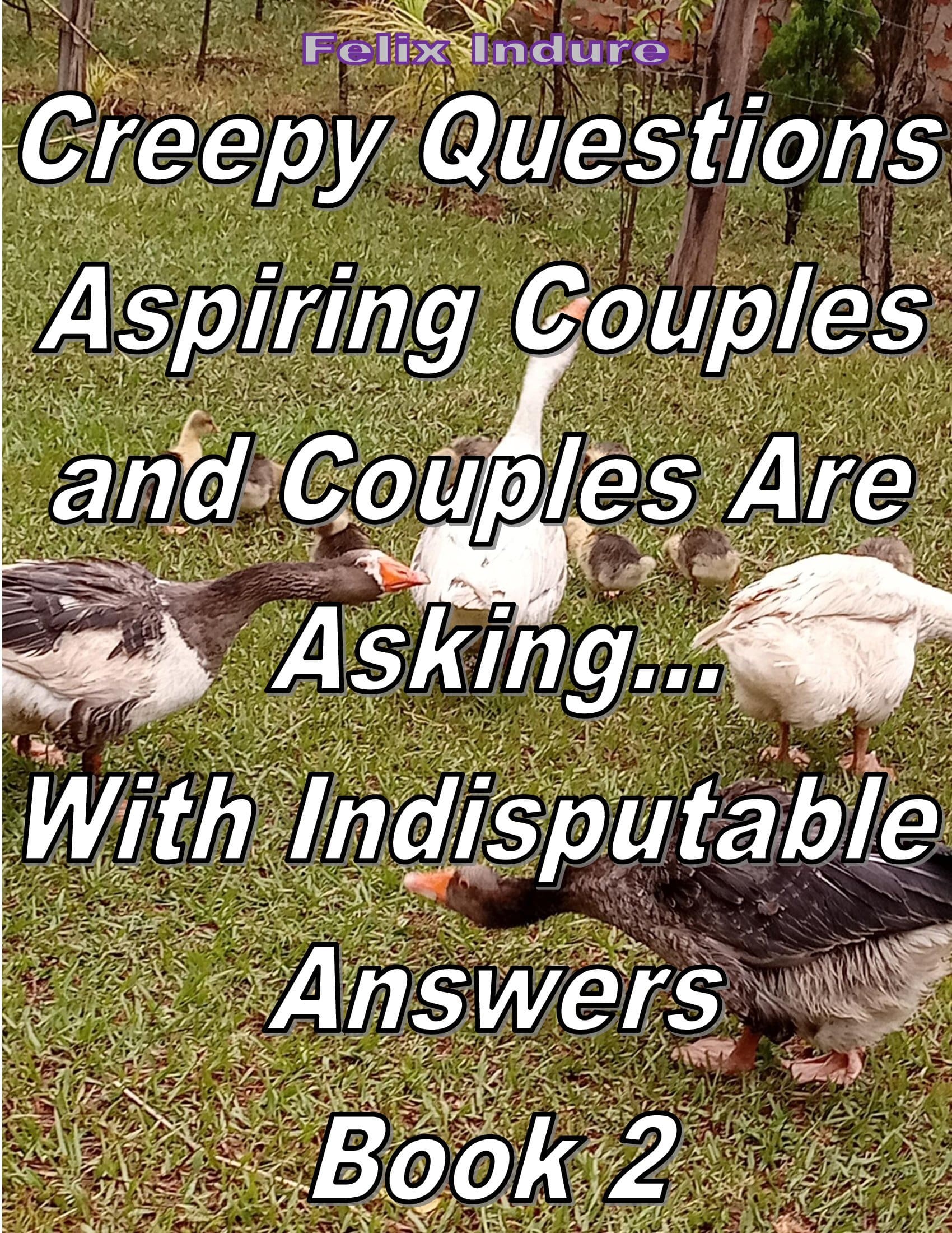 Creepy Questions Aspiring Couples and Couples Are Asking book by Felix Indure